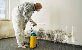 Best Basement Mold Removal  in Oakmont, PA