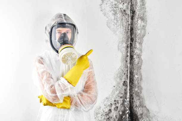 Best Mold Prevention Services  in Oakmont, PA